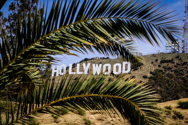 hollywood sign palm trees