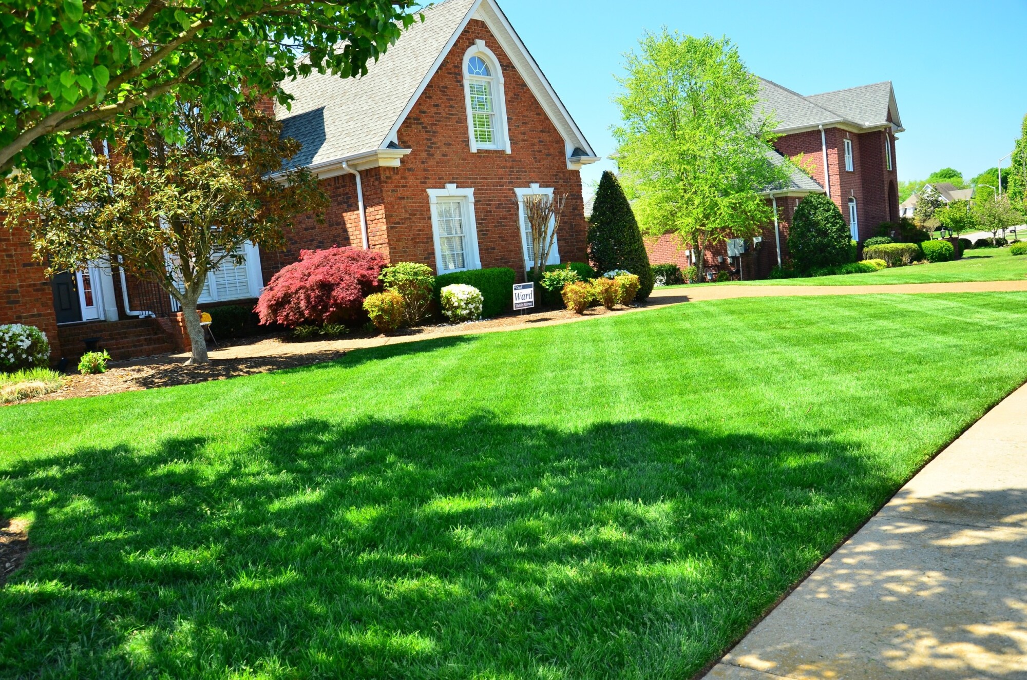 5-steps-to-a-greener-lawn-riot-housewives