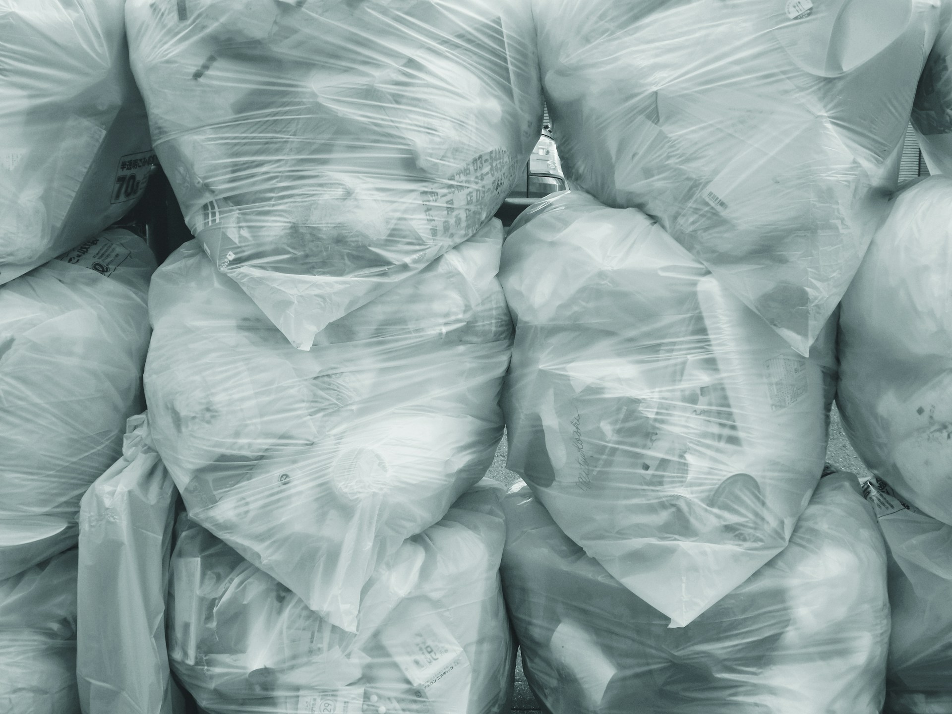 Eco-Friendly Waste Collection