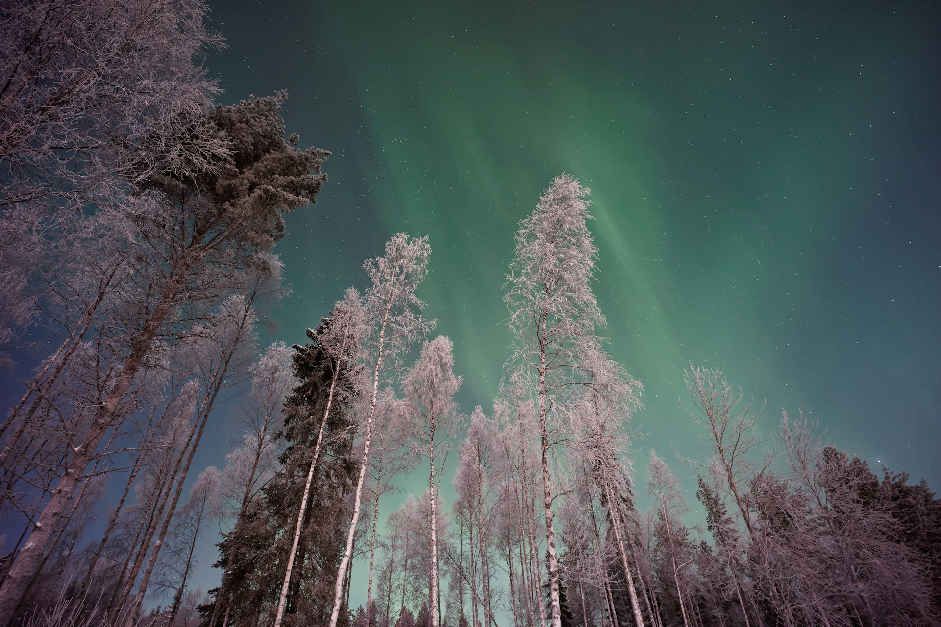 Lapland is the Ultimate Luxury Winter Destination